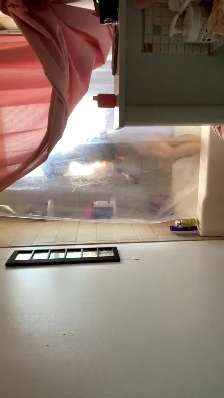 applebottomjeanz pornhub