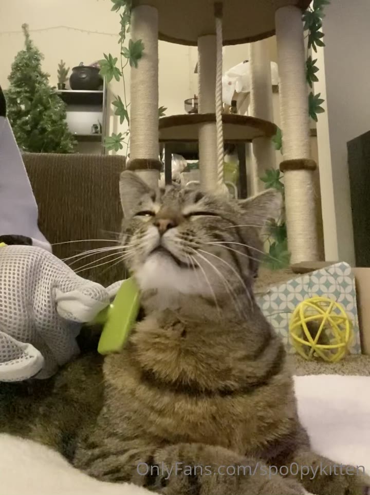 spoopykitt leaked of