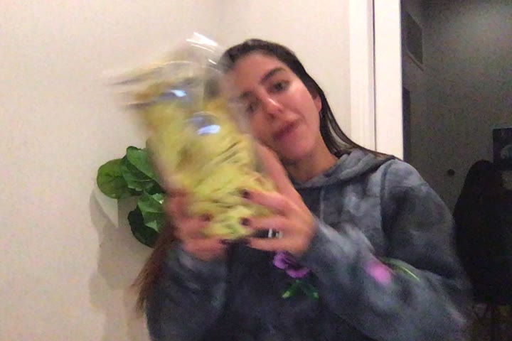 lenatheplug leaked video