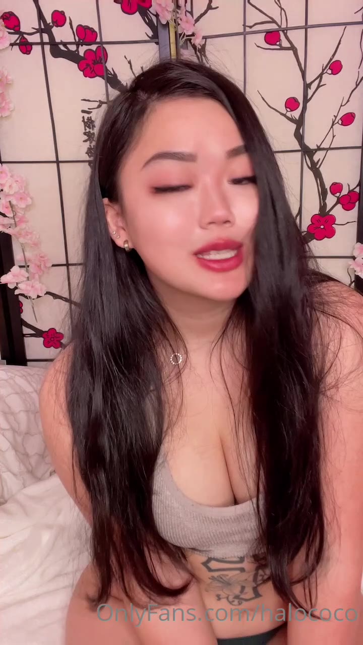 halococo halle