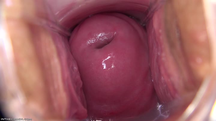 adriana chechik dredd anal