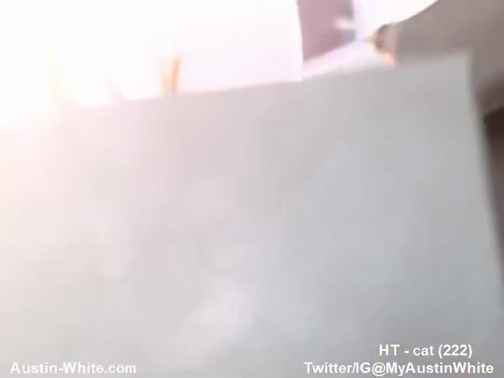 myaustinwhite nude