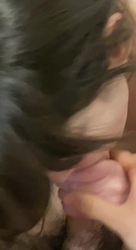maria sofia federico salta su rocco siffredi