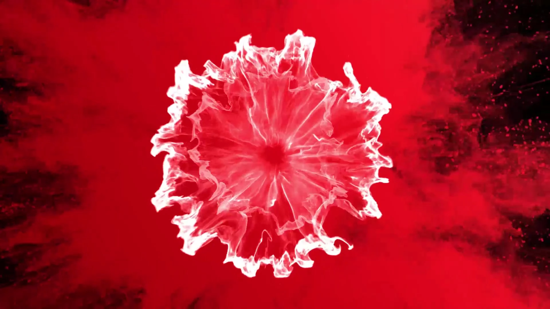 impressive athletic Putri Cinta Onlyfans nude