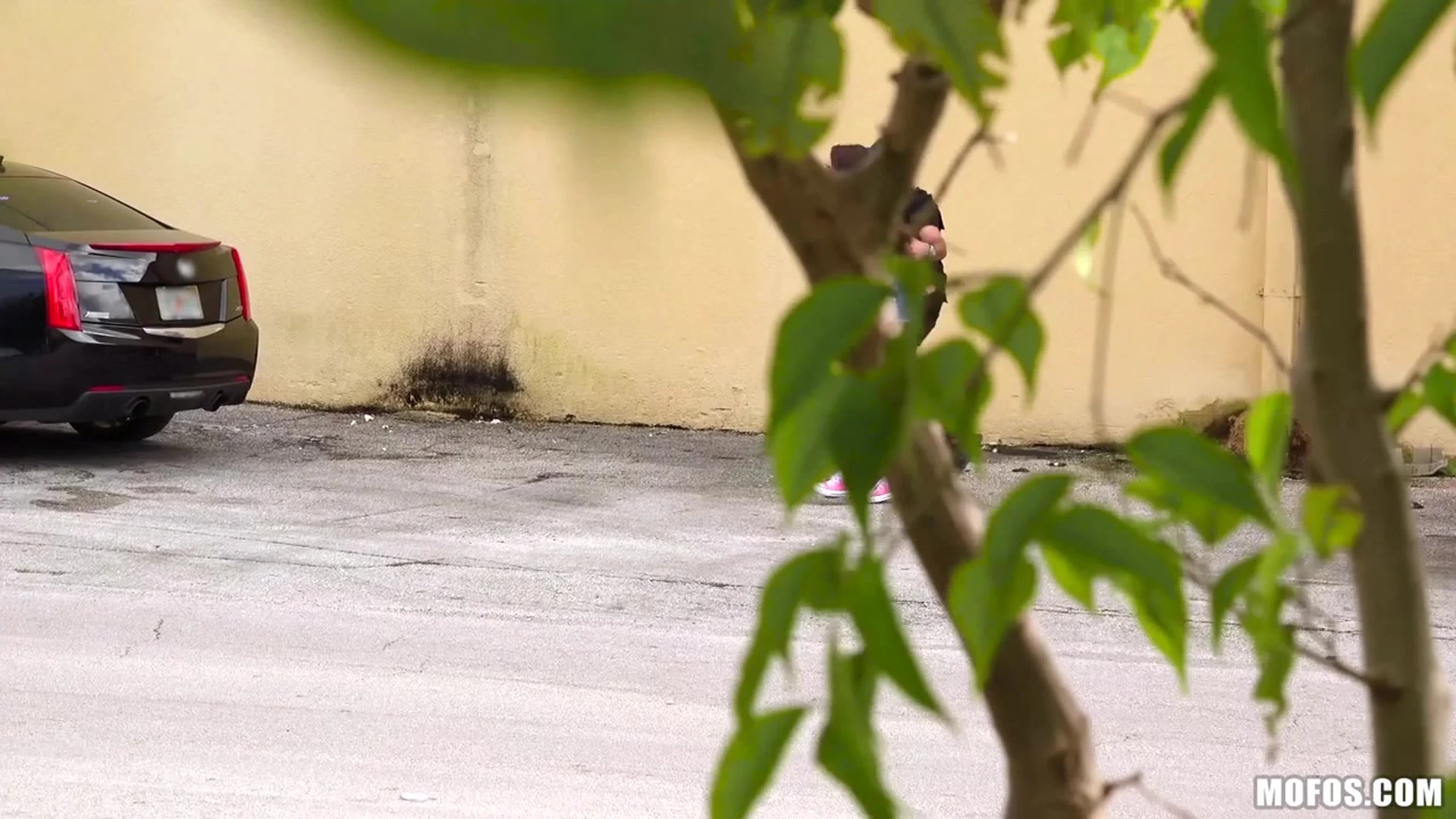 teen Sweating caucasian Ashly Anderson fucked