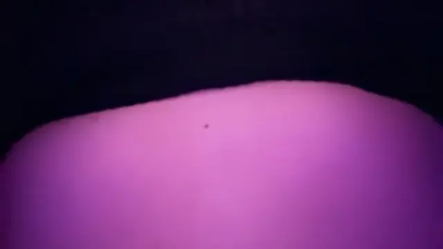 natural tits Whiptrax nude leaks Exposed