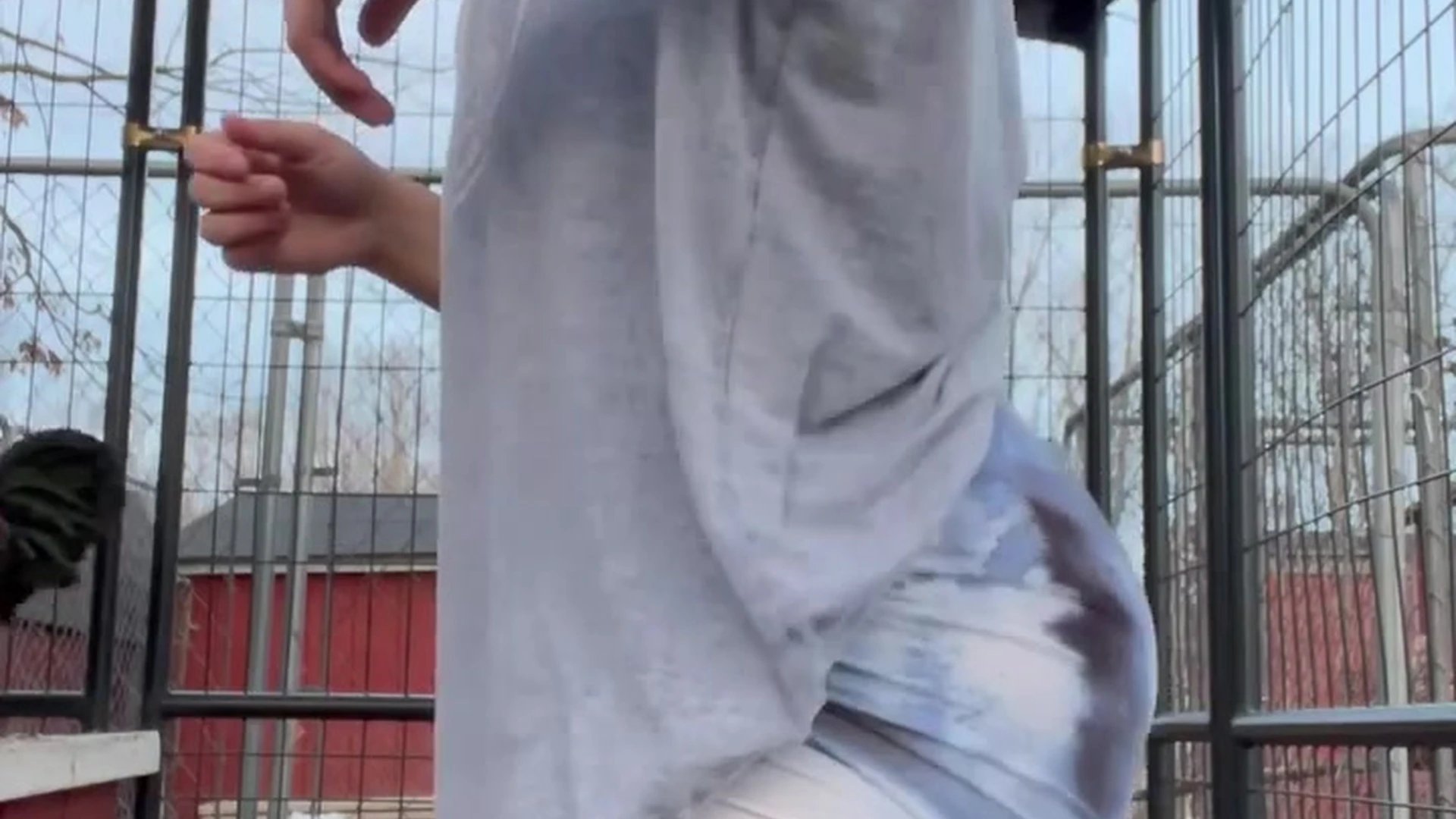 Sensational small tits danicooppss bj