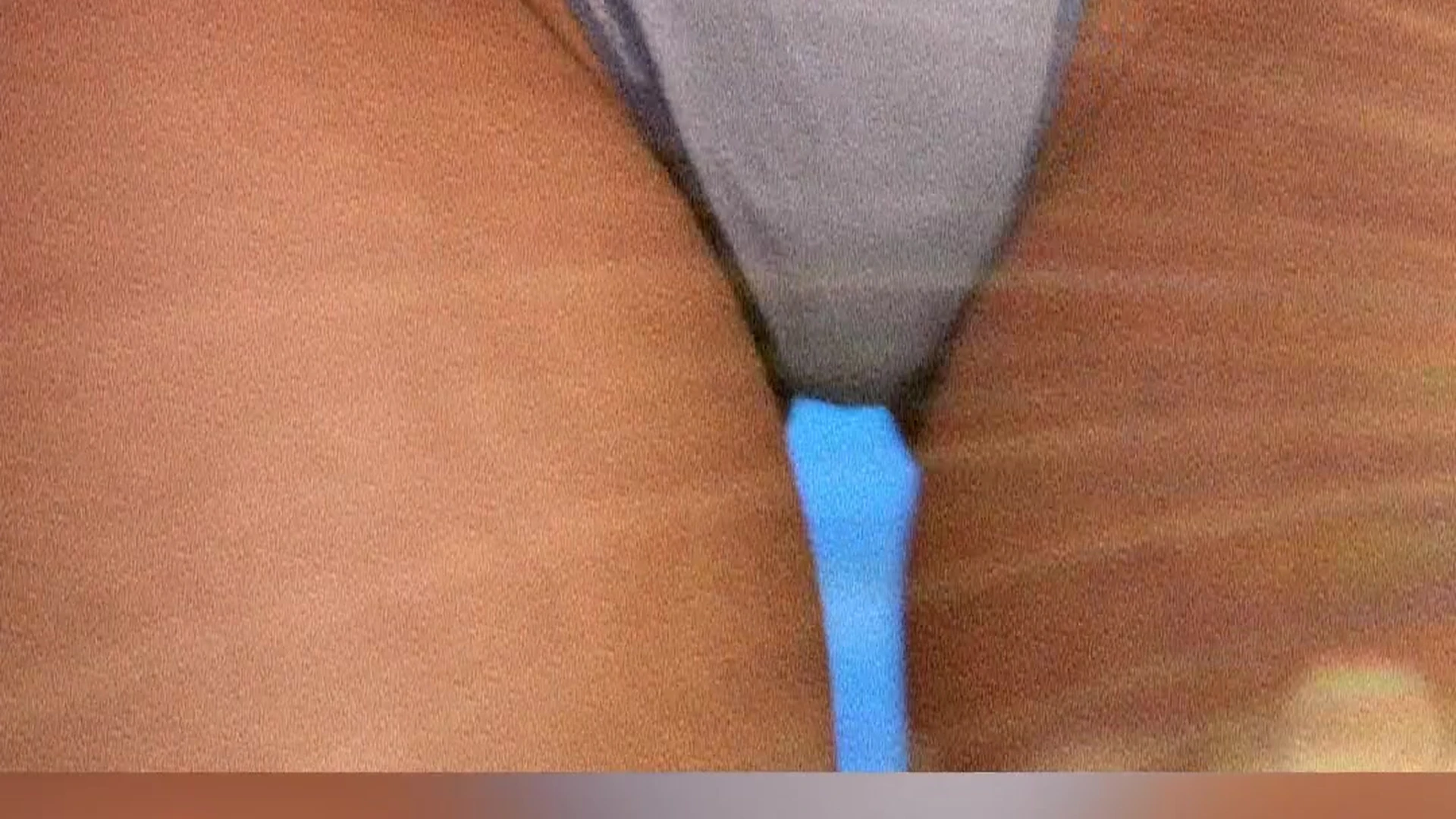 Epic tease danicooppss pic porn