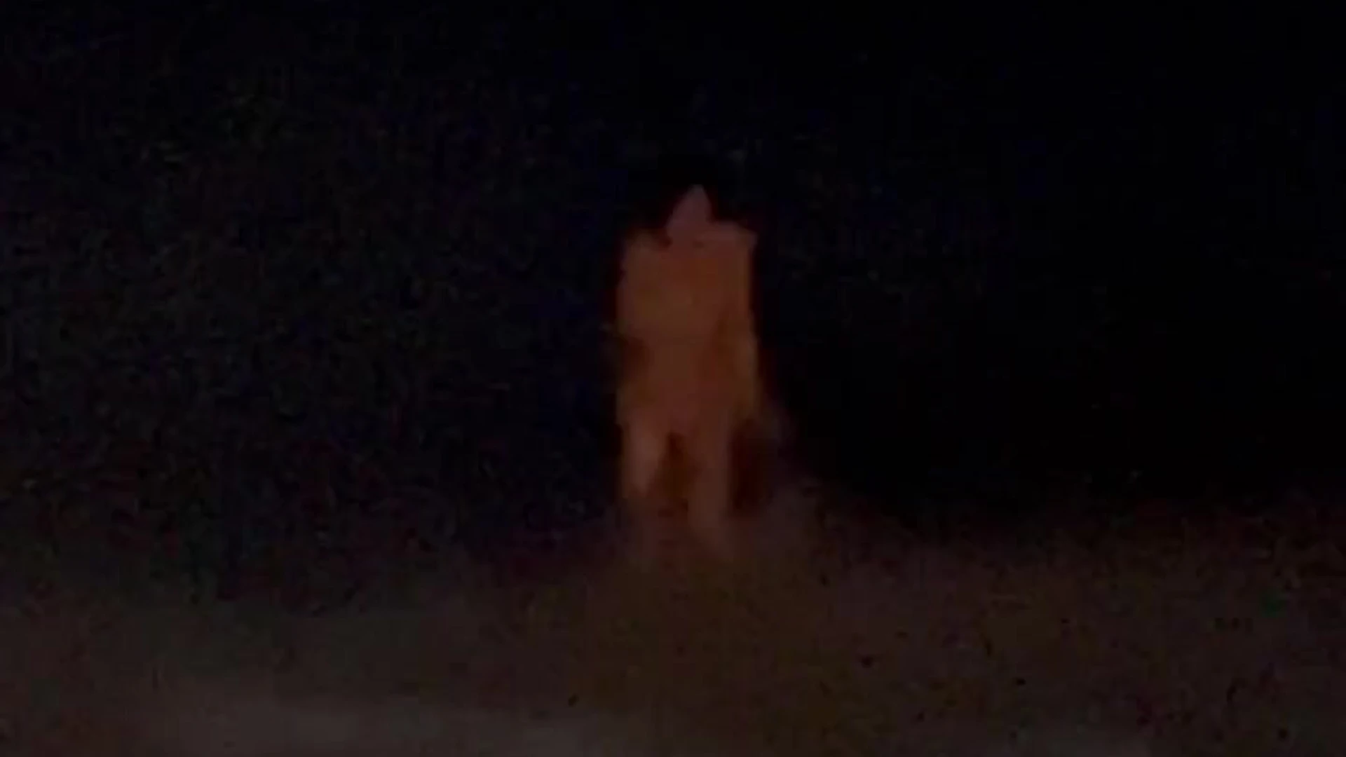 pornstar Sweating egirl playgirlcris leaked pics