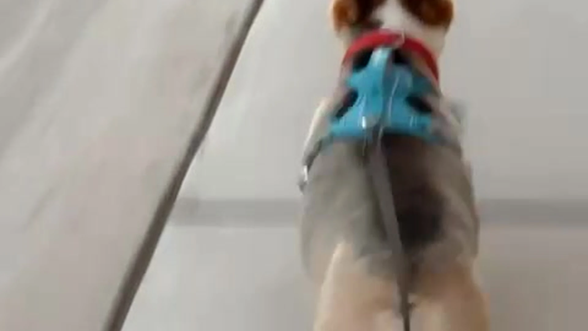 Epic sexy petite Molly Stewart leaked nudex fullvideo