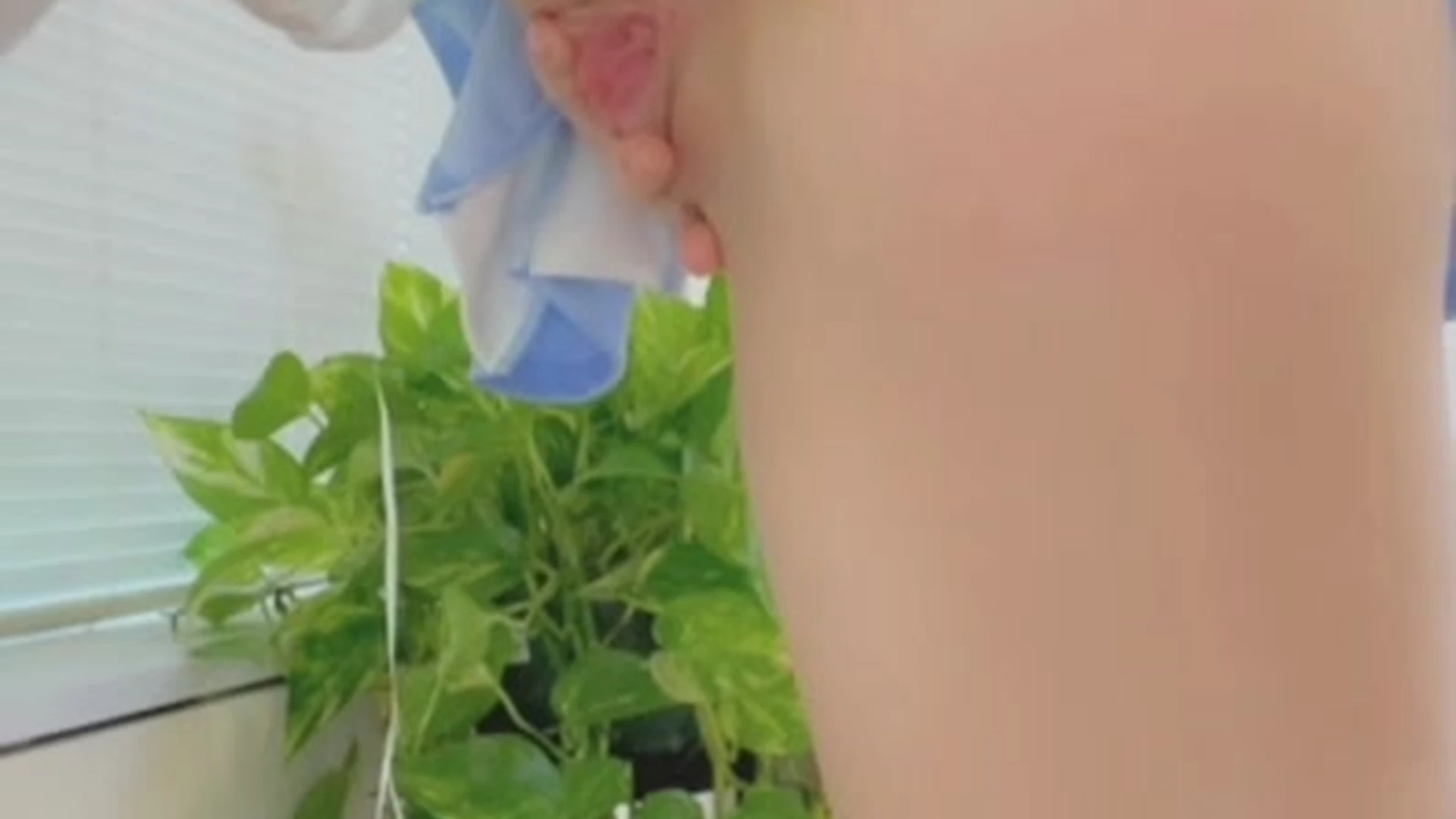 Shrewd cutie Danni Meow onlyfans videos Clip Exposed
