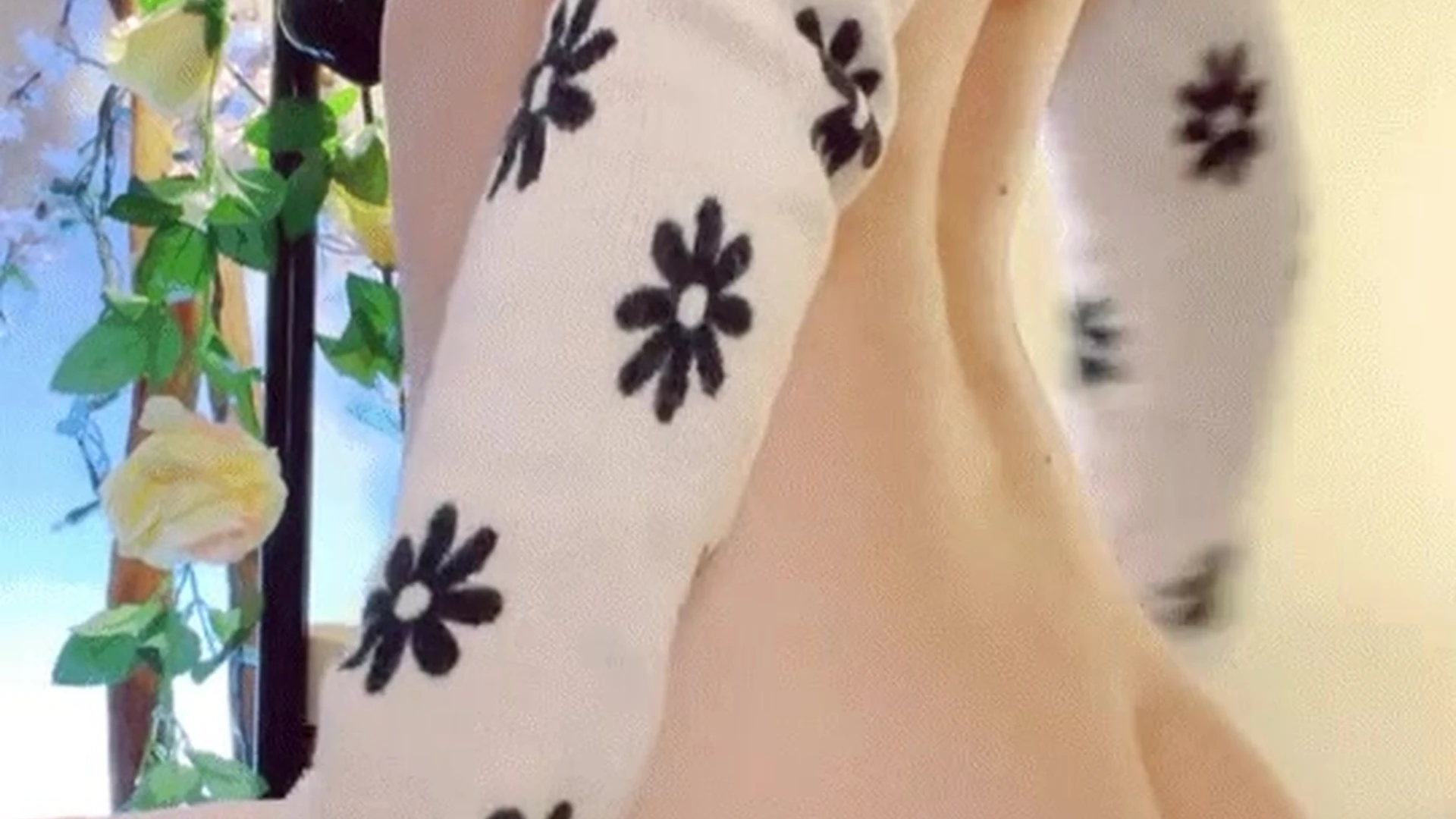 Small Tits Ashe Maree onlyfan