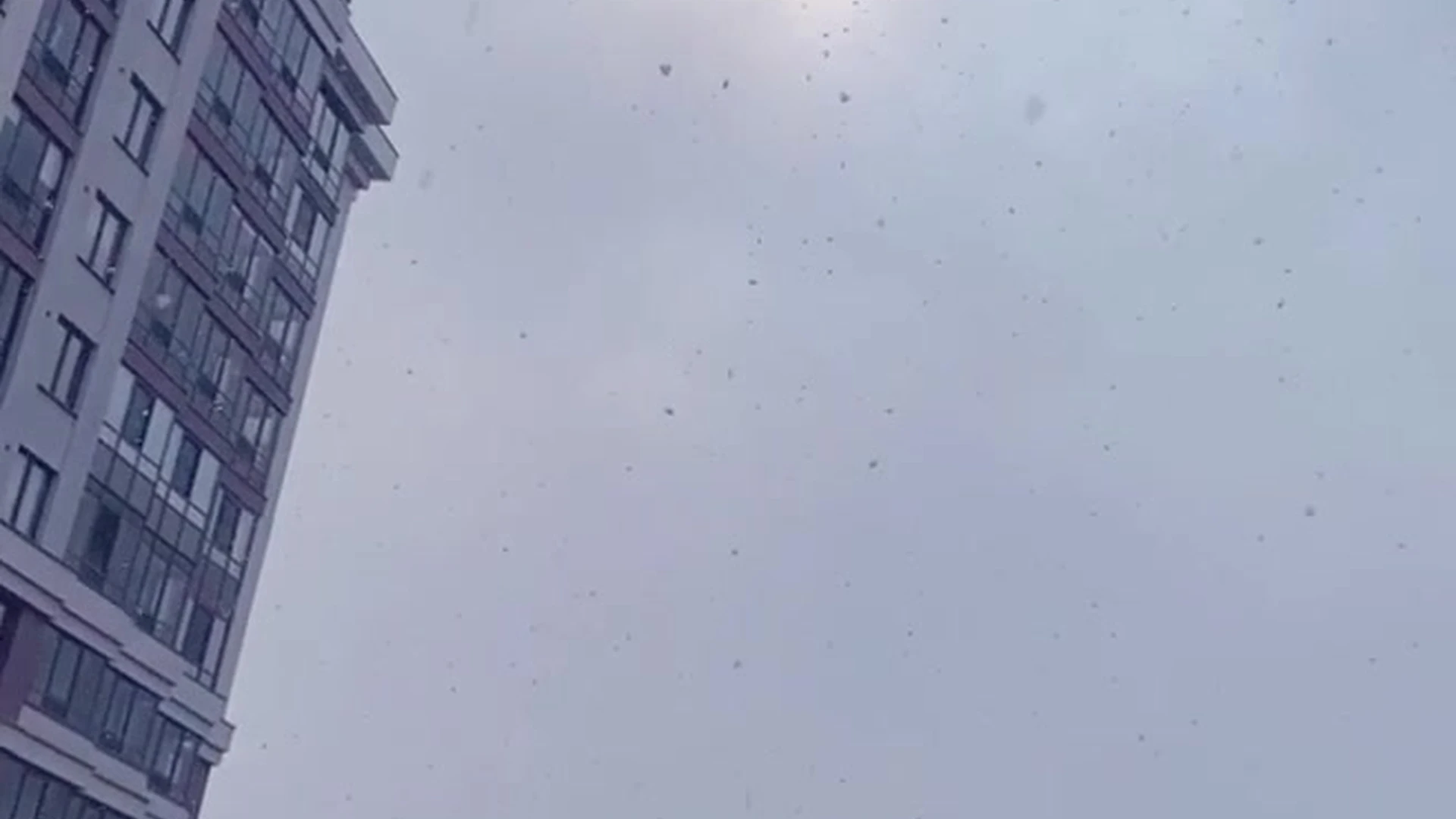 egirl blonde Cheryl Blossom onlyfans leaks Exclusive vid full